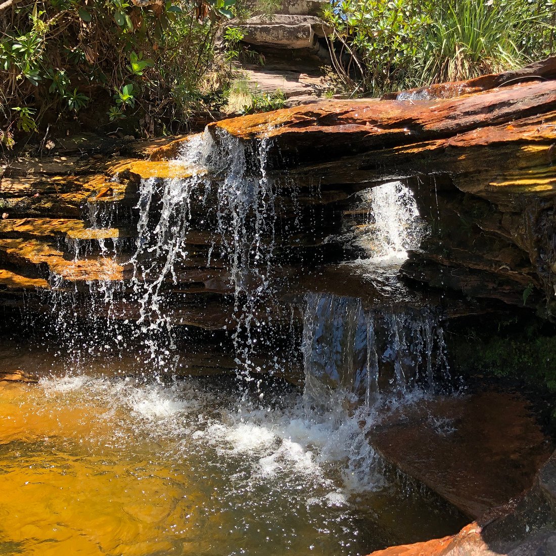 Consciência Ecológica na Chapada